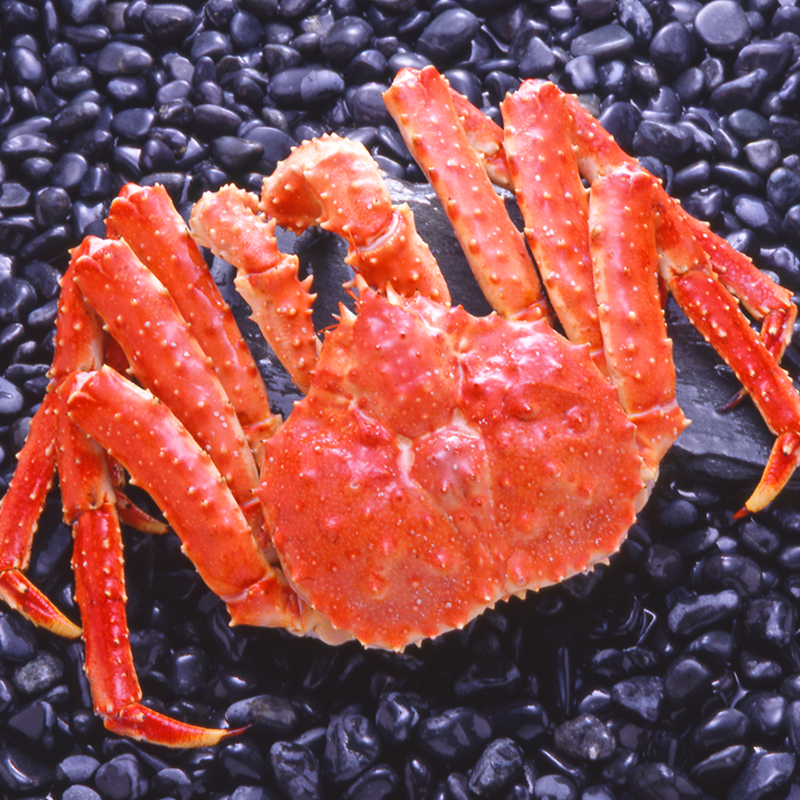 石山商店 甲殻類