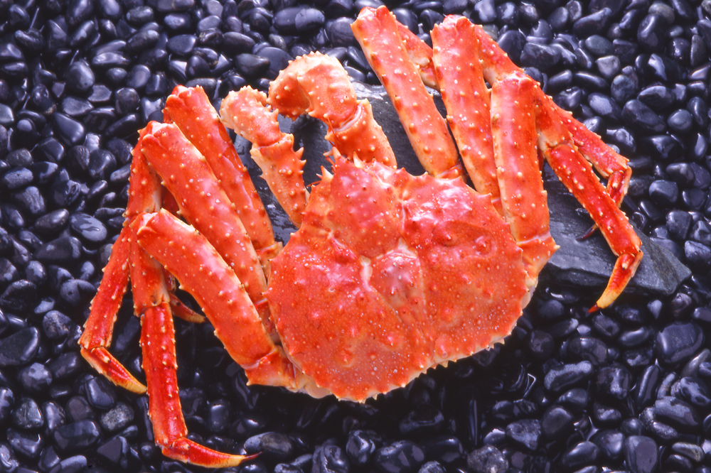 石山商店 タラバガニ